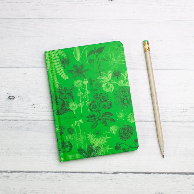 Jester's Sketchbook Hardcover Journal for Sale by Plainstreetpro